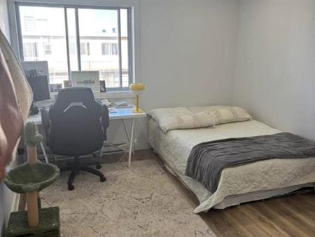 Appartement 1 chambre (3 et demi) - 1-bed apartment