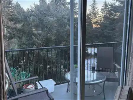 Cozy 2 Bedroom Condo | 10 - 304 Cedar Crescent Southwest, Calgary