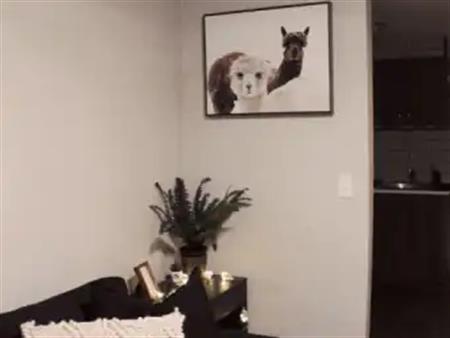 Cozy Basement Suite | Calgary