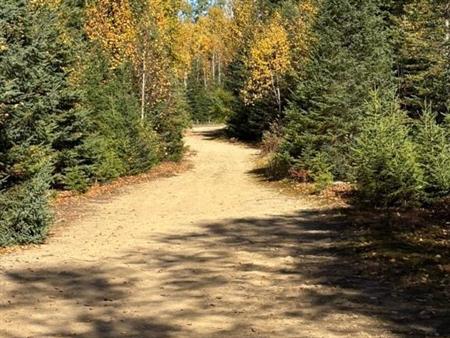 Terrain sur ruisseau St-Donat