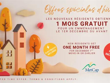 1150 Rue Sherbrooke Est | 1150 Rue Sherbrooke East, Montreal