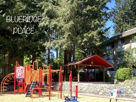 Blueridge Apartments