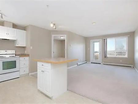 West Edmonton Hamptons 2 bedroom 2 bathroom | 309 - 5340 199 street NW, Edmonton