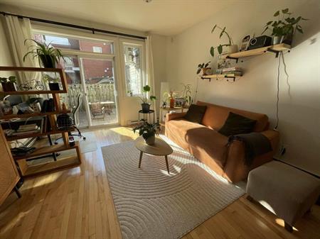 Grand 3 1/2 lumineux avec terrasse privée juste à côté du métro Frontenac.