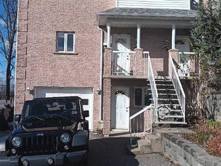 Chambre 1 1/2 acceptant 1 chat