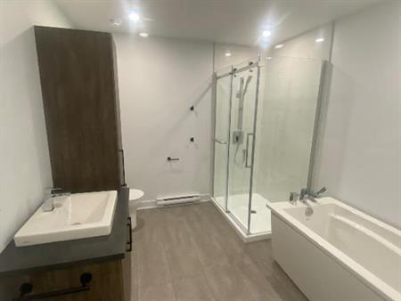 Grand 4 1/2 libre lumineux