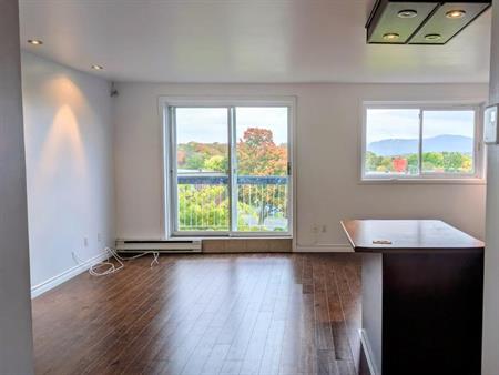 4-1/2 clientèle 50 et plus tranquille belle vue, fraichement peinturer