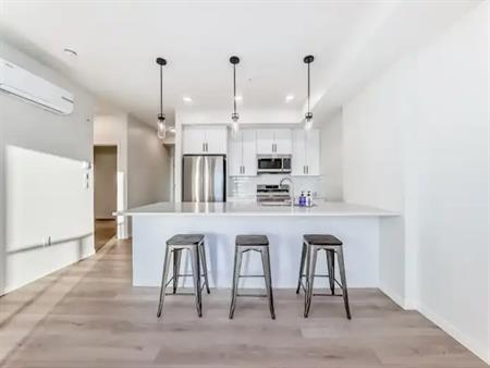 NEW - Mountain View and Downtown Calgary View 2 Bed 2 Bath Underground Parking | 3410 - 20295 Seton Way Southeast, Calgary