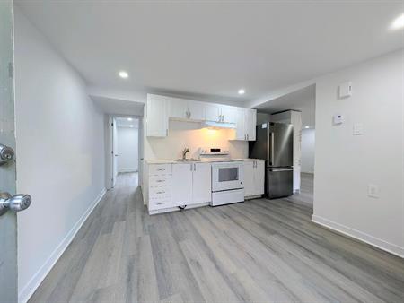 **Renovated 4 1/2, TOP Floor, Large Balcony-The Village/Downtown, Metro Papineau**