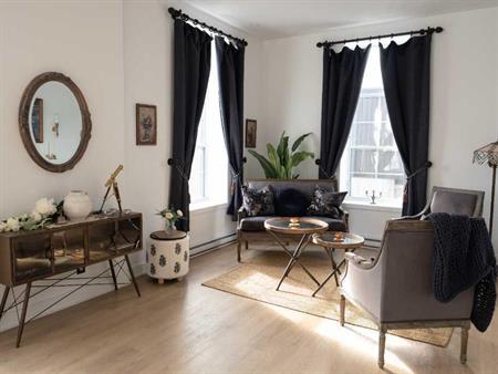 Magnifique 4½ lumineux à aire ouverte à Saint-Hyacinthe