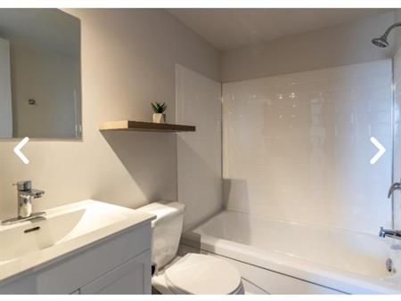 Logement a louer 3 et demi droit au chien