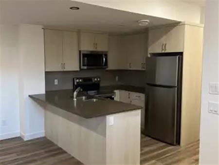 BEAUTIFUL AND PRIVATE SECONDARY SUITE | 197 Setonstone Green Southeast, Calgary