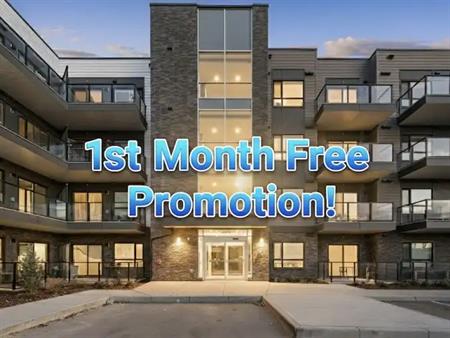 Top Floor Seton Condo | New 1 Bed 1 Bath | 1 Mo Free | 20295 Seton Way Southeast, Calgary