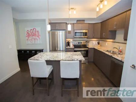 EXECUTIVE FULLY FURNISHED LUXURY CONDO DOWNTOWN/OLIVER | 102 - 10523 123 Street Northwest, Edmonton