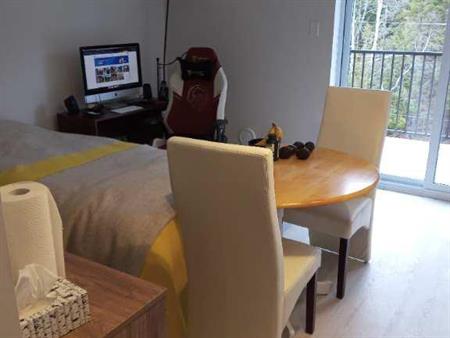 Studio à mont-tremblant(rpa)