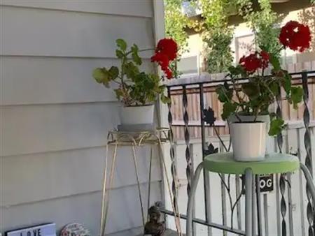 2-Generation furnished house close to Chinook Mall | 730 54 Avenue Southwest, Calgary