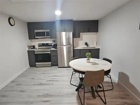 Modern 1-Bedroom Furnished Basement Suite – Utilities Included, Move-In Ready | 1625 Siskin Link Northwest, Edmonton