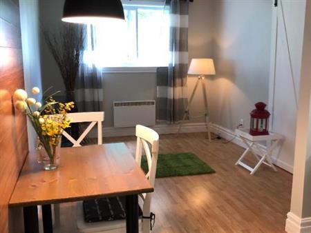 3 1/2 semi meublé libre 1 janvier WIFI et stationnement