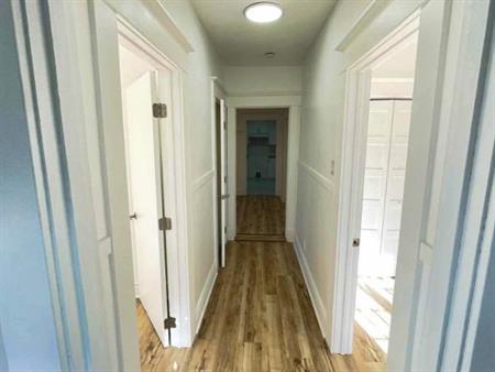 5 1/2 - Montréal (Hochelaga / Maisonneuve) - 1 700 $/mois