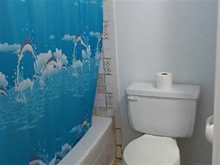 A Valleyfield - Beau , propre et grande 3-1/2, avec balcon prive, LIBRE