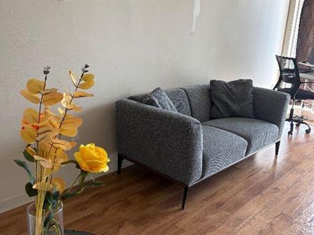 Cession de bail - 3 1/2 - 1 063$ Semi-meublé