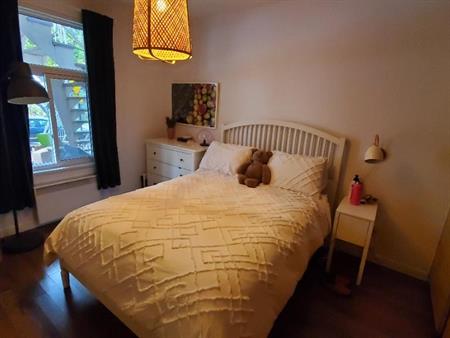 4½ rénové rez-de-chaussée Rosemont-Petite-Patrie