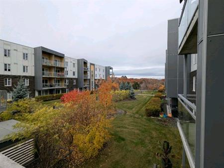 Cession de bail 4 1/2