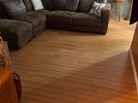 Beau 4 ½ (Décembre et/ou Janvier) @ Vanier