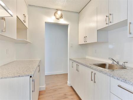 3 1/2 - Deux-Montagnes - 1 275 $/mois