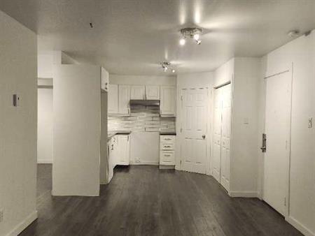 4 1/2 avec 2 chambres. Chat accepté