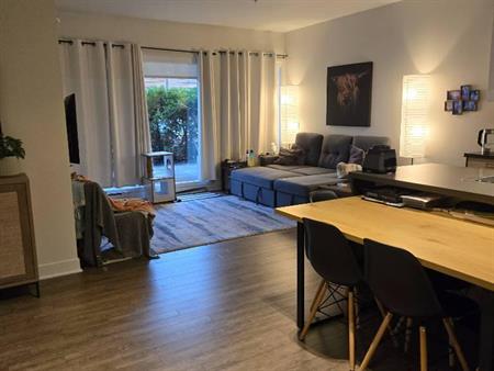 4 et demi à louer - Sainte-catherine, rive sud de Montréal