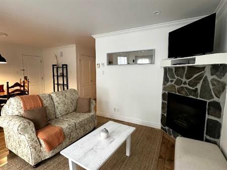 1CH HYDRO INTERNET MEUBLES INCLUS