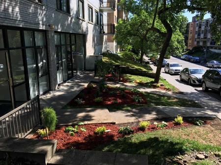 3 1/2 RÉNOVÉS, CHAUFFAGE EAU CHAUDE INCLUS, PRES UDEM, HEC, POLY, HOPITAUX