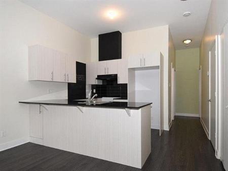 GRAND CONDO MODERNE 4 1/2 - STADE OLYMPIQUE / MÉTRO VIAU