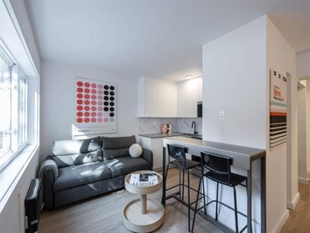 Appartement Une Chambre - Montréal Centre-Ville, Meublé
