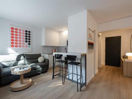 Appartement Meublé Moderne à Louer – Centre-Ville de Montréal