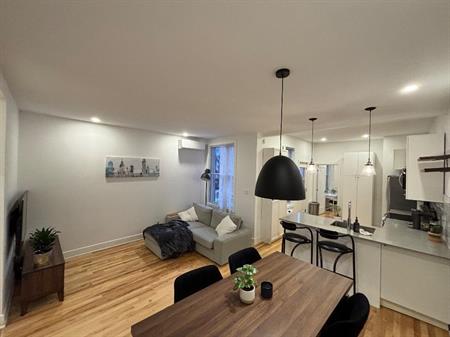 Magnifique 4 ½ entièrement rénové — 1000 pi² — Hochelaga-Maisonneuve — Disponible rapidement