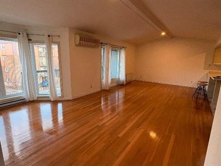 Grand Appartement 4 1/2