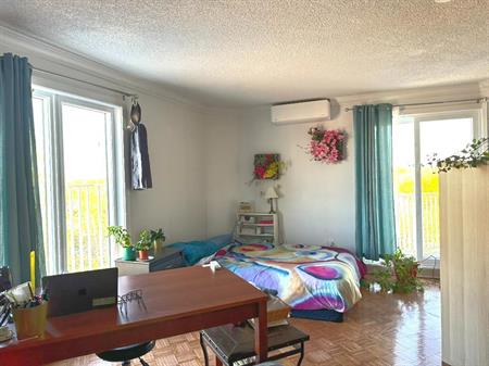 Appartement Grand 4 et demie