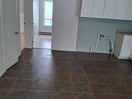 4etdemi a louer a st louis du ha ha pas chauffer pas éclairé pas chien 2eme étage