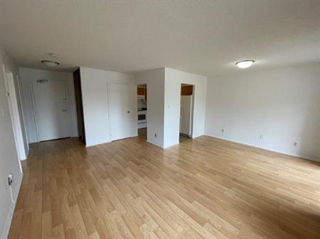 1 CH - 1 SDB - Côte Saint-Luc - $1,240 /mo