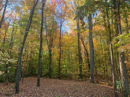 TERRAIN À VENDRE - ST-LAZARE