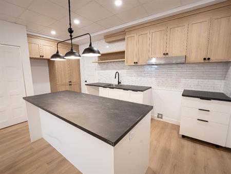 4 1/2 rénové à louer - Centre-ville St-Hyacinthe Condo / appartement / logement