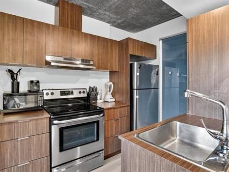 Condo Style Loft 1 chambre a coucher Griffintown 1085 Smith, Montreal gym, pool, spa, appliances, piscine, electros