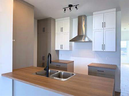 Appartement 5 ½ NEUF à louer à Drummondville - Disponible pour 1er février