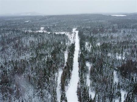 Ste-Rose-de-Watford (Chaudière-Appalaches) : Terre de 105 acres avec droit de construction, forêt mixte, chemin forestier