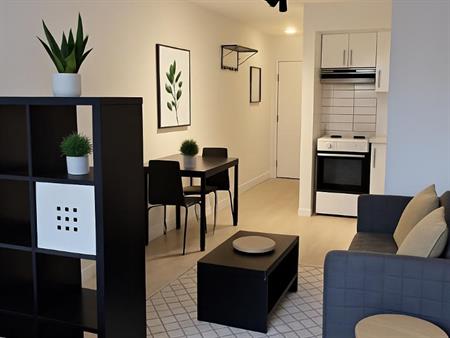 Studio - Montréal - $1,099 /mo