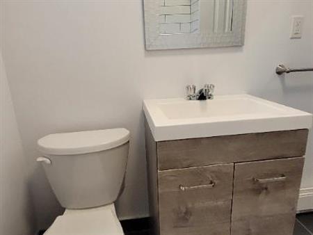 3.5 RDC duplex 600p2 - métros-Marché Jean-Talon