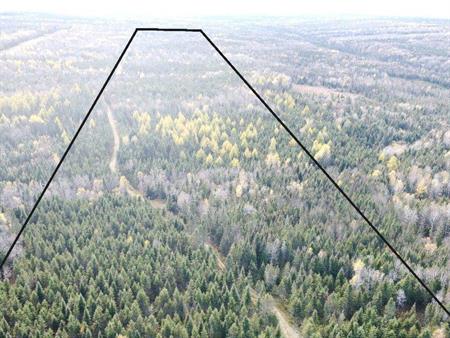 Terre à bois à vendre à Ste-Perpétue de l'Islet