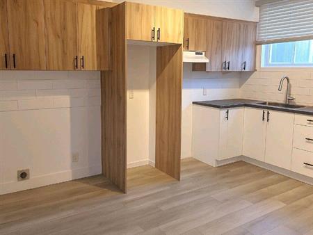 grand 3,5 +1 piece 8x9,RÉNOVÉ 3PLEX VIEUX-LONGUEUIL